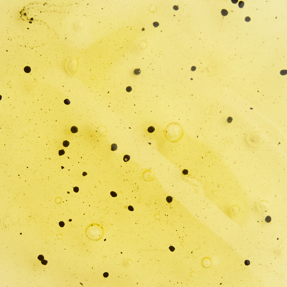 Pineapple Feminine PH Balanced Body Shower Gel Wash 